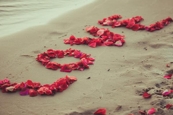 Love Image, Heart, Beach, Sea, Flowers, HD, 2K, 4K, 5K