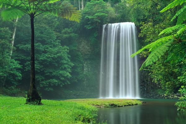 Millaa Millaa Falls, Водопад, Квинсленд, Австралия, HD, 2K, 4K